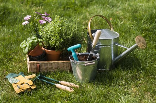 Tree stump removal process in a compact urban outdoor space