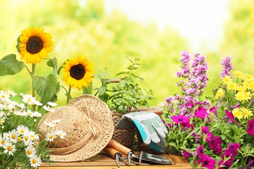 Professional checking branches and canopy for safety concerns