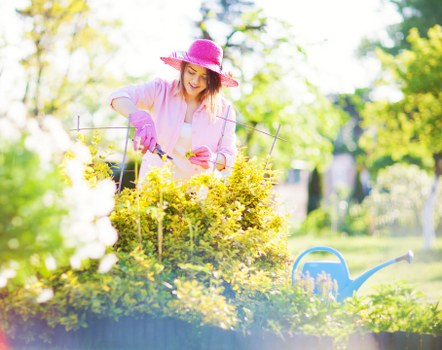 Accepted payment methods for Tree Surgeons Rotherhithe clients