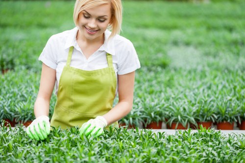 Internal review of a tree surgery complaint by a senior staff member