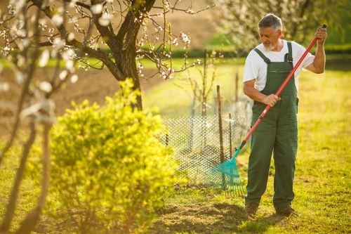 Tree maintenance for a residential garden near Rotherhithe